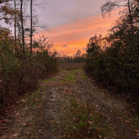 Beautiful sunset at Hat Creek RV Park in Cottondale, Florida