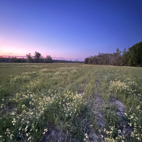 Nice view of the natural landscape at Hat Creek RV Park in Cottondale, FL